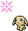Salamon